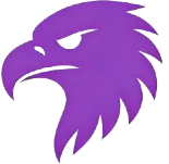 eagles-solution.com icon