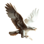 eaglesfaith.au icon