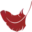 eaglesnestatbannerelk.com icon