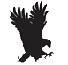 eaglesunshinecleaning.com icon