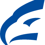 eas-tire.com icon