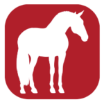 eastcoastequestrian.net icon