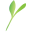easyaccessnepal.com icon