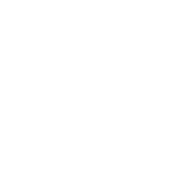 easywhisper.io icon