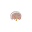 eblessing.co icon