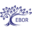 eboracademytrust.co.uk icon