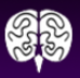 ebrain.net icon