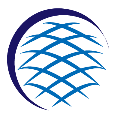 eccosafetygroup.com.au icon