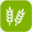 ecobuilderz.com icon