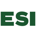 econsultsolutions.com icon