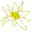 edelweiss-druckshop.ch icon