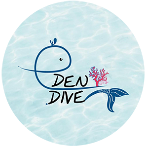 edendivecenter.com icon