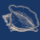 edenhousekw.com icon