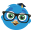 edubirdie.com icon