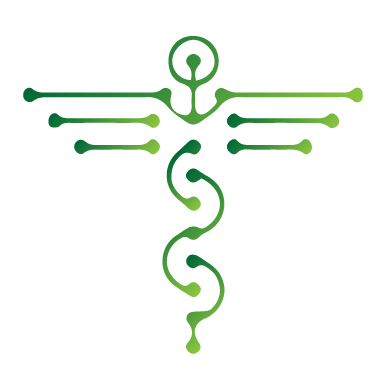 ehealthblog.de icon