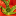 einfachschoen.ch icon