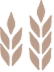 einkorn.com icon