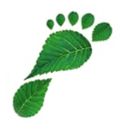 einlagen-shop.com icon