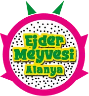 ejdermeyvesi.com icon