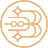 elbeautyclinic.ru icon