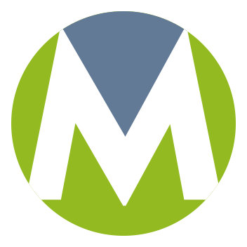 electronicsmvp.com icon