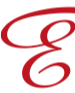 elegancezwaag.nl icon