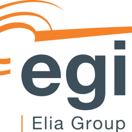 eliagrid-int.com icon
