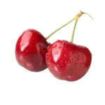 elizabethalvarenga.com icon