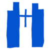 elizagipuzkoa.org icon