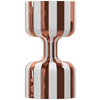 elizarova.com icon