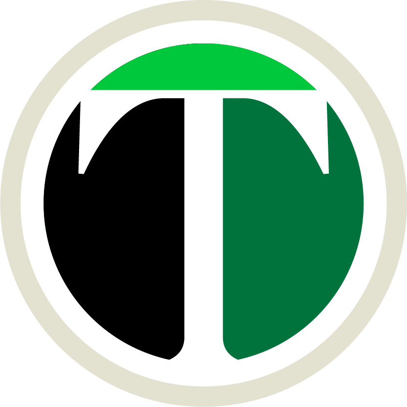 eltiempomx.com icon