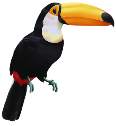 eltoco.com icon