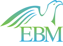 eminencemedia.in icon