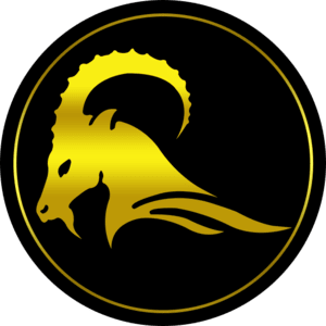 emircaner.com icon
