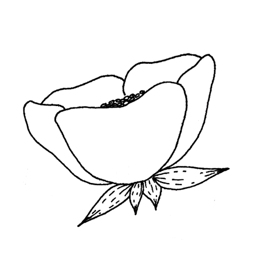 emma-larson.com icon