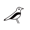 Empava logo