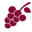 emporiodivino.com icon