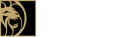 en-betmgm.us icon