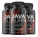 en-en-en-javaburn.com icon
