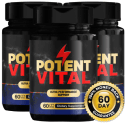 en-en-us-potentvital.com icon