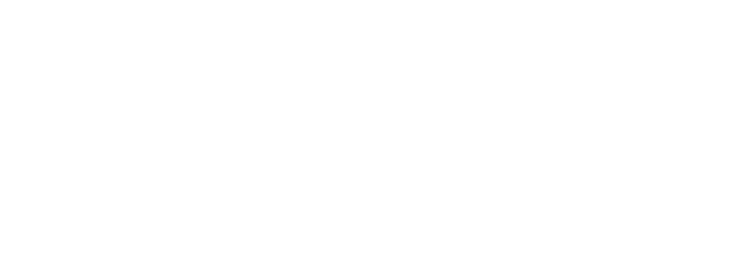 en-vivaliss.com icon