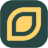 energy-charts.org icon