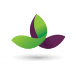 energyhealinginstitute.org icon