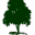 enewspf.com logo