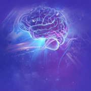 eng-the-brainsongs.com icon