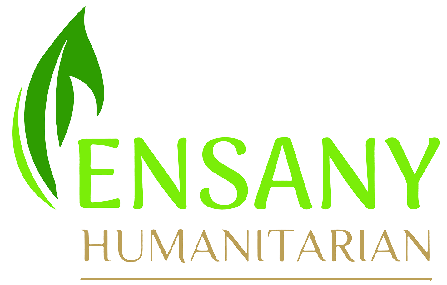 ensany.com icon
