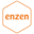 enzen.com icon