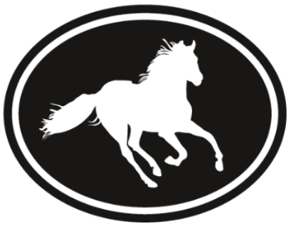 equitex.it icon