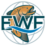 erlebniswelt-fliegenfischen.de icon