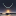 erocitas.ch icon